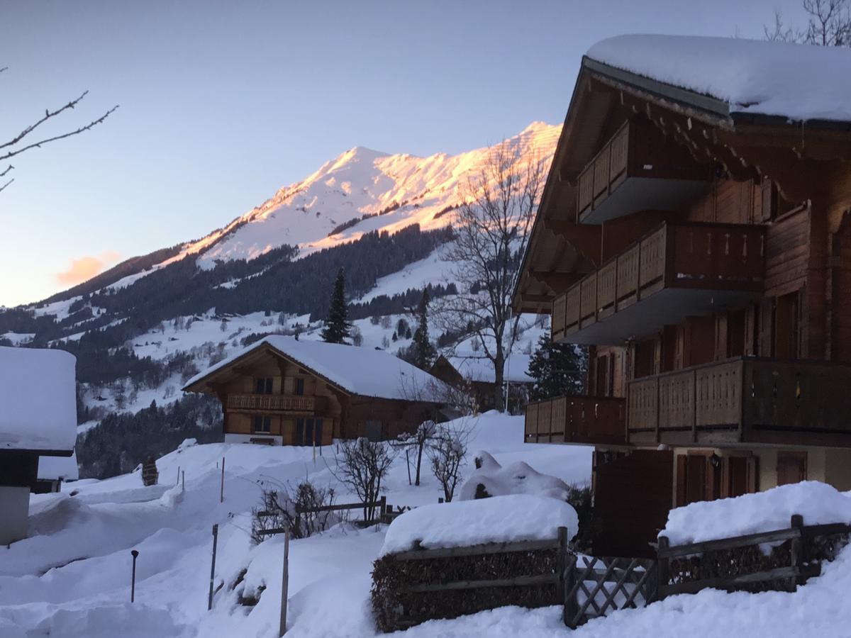 Apartmán Le Sapin Les Diablerets Exteriér fotografie